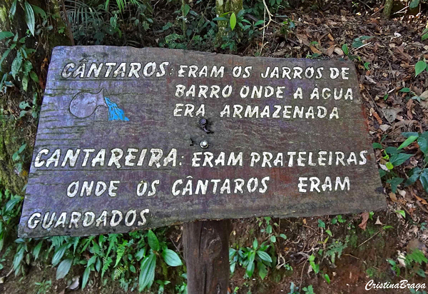 Serra da Cantareira - Parque Estadual