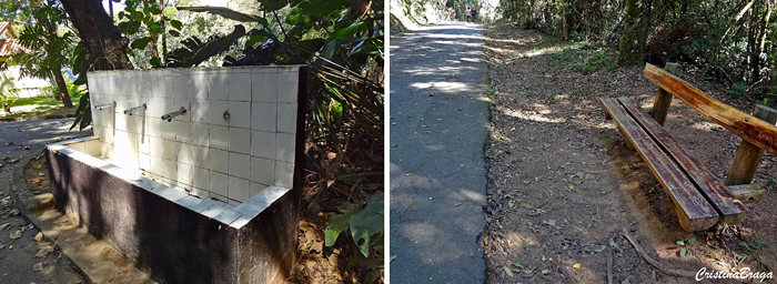 Serra da Cantareira - Parque Estadual
