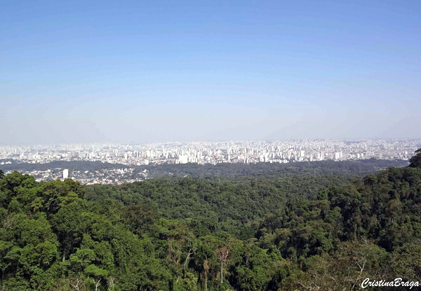 Serra da Cantareira - Parque Estadual