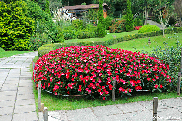 Amantikir - Campos do Jordão