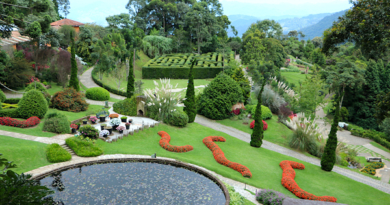 Amantikir – Campos do Jordão