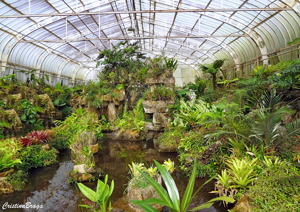 Jardim Botânico de São Paulo - Flores e Folhagens