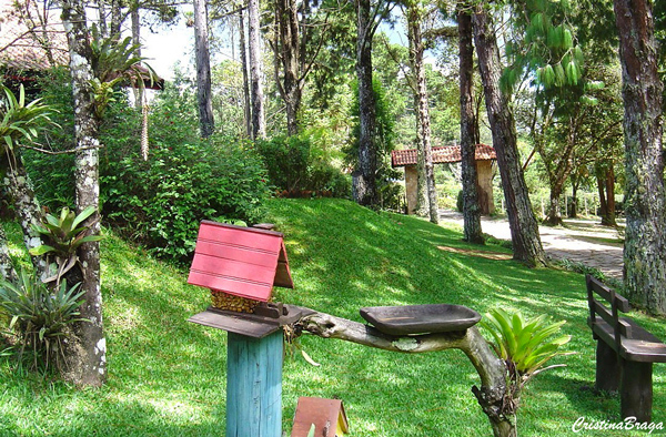 Ideias de decoração para Jardim
