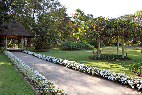 Bordaduras de Jardim