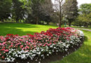 Maciços de Jardim