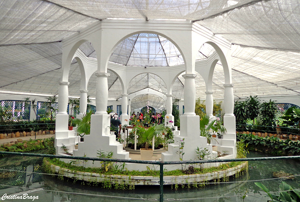 jardim-botanico-do-rio-de-janeiro