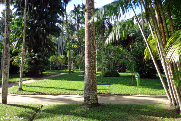 jardim botanico do rio de janeiro