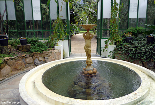 jardim botanico do rio de janeiro