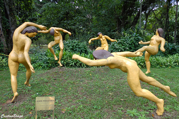 jardim botanico do rio de janeiro