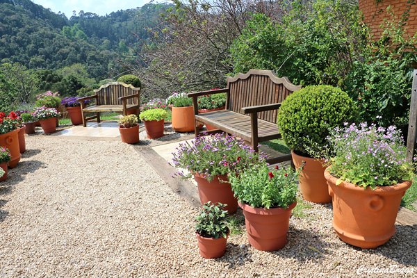 Vasos no Jardim