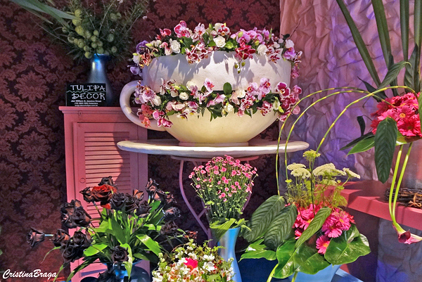 expoflora