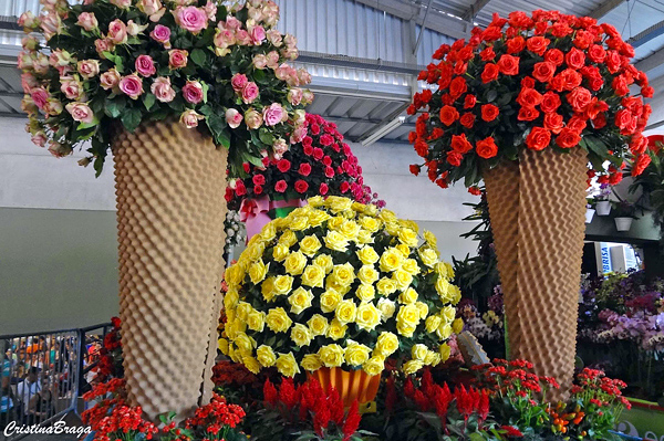 Expoflora - Festa das flores