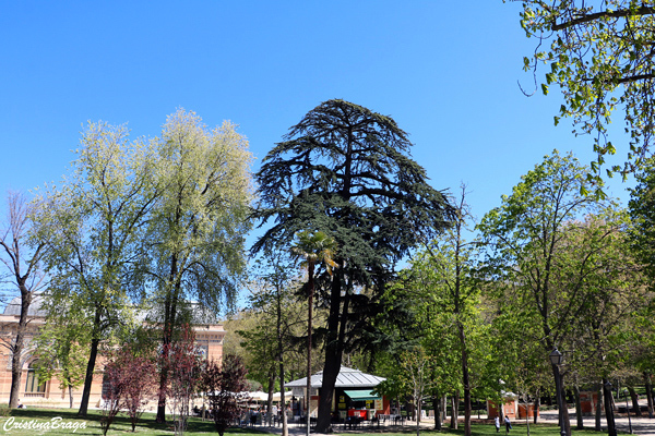 Parque de El Retiro - Madrid