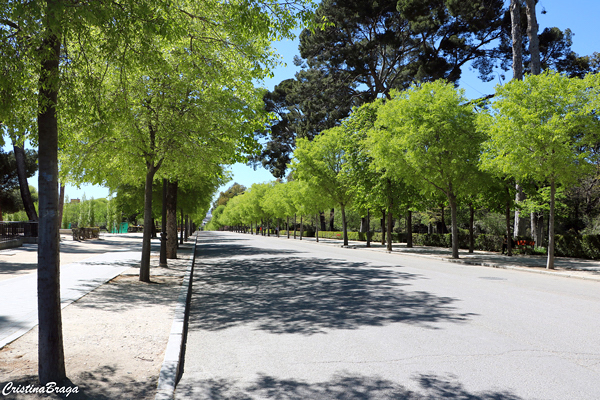 Parque de El Retiro - Madrid