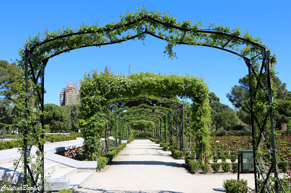 Parque de El Retiro - Madrid