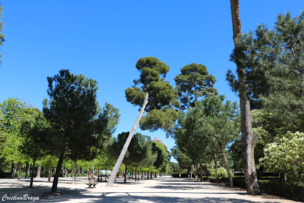 Parque de El Retiro - Madrid