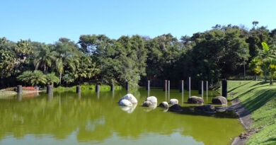 jardim botanico de jundiai