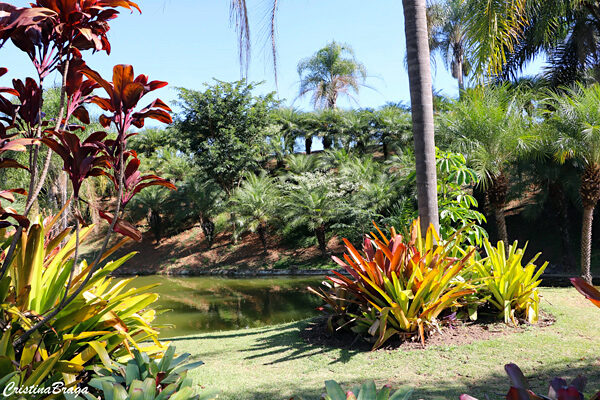 jardim botanico de jundiai