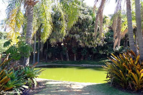 jardim botanico de jundiai