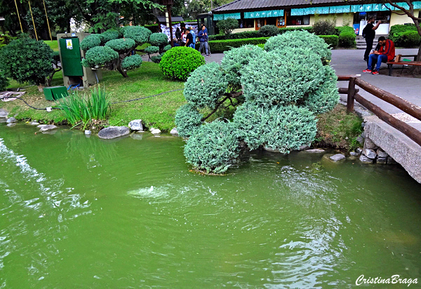 Jardim Japonês de Buenos Aires