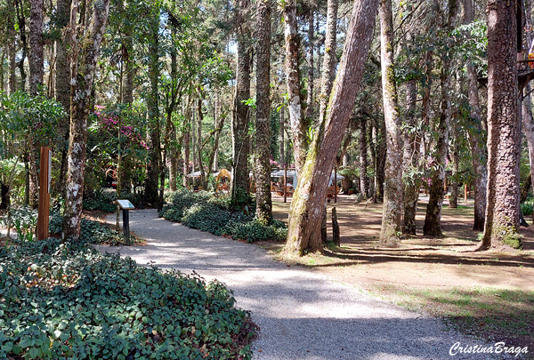Bosque do Silencio
