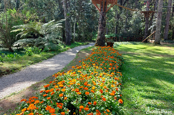 Bosque do Silencio
