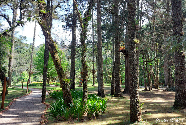 Bosque do Silencio