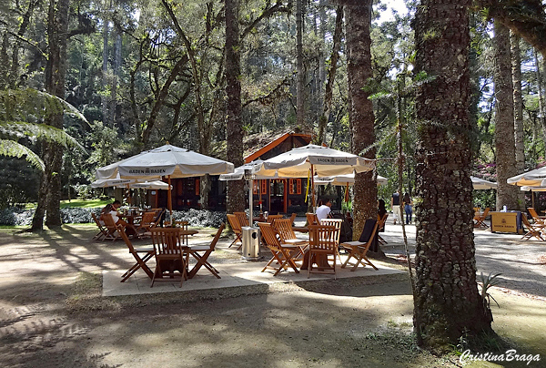 Bosque do Silencio