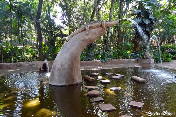 Parque das Aves - Foz do Iguaçu