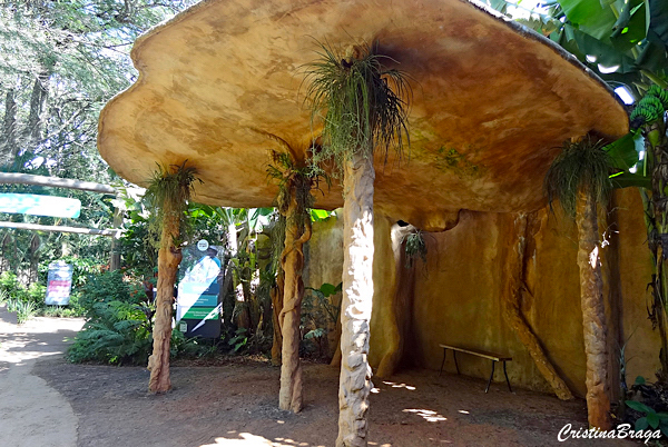 Parque das Aves - Foz do Iguaçu