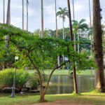Jardim do Palácio do Catete