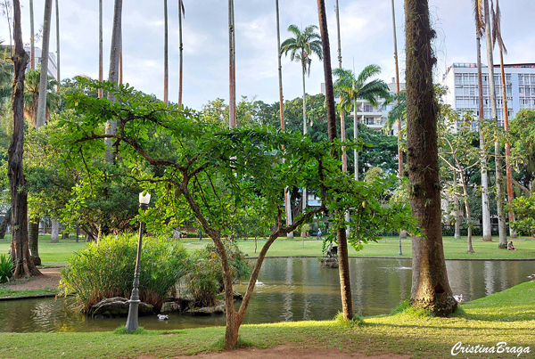 Jardim do Palácio do Catete