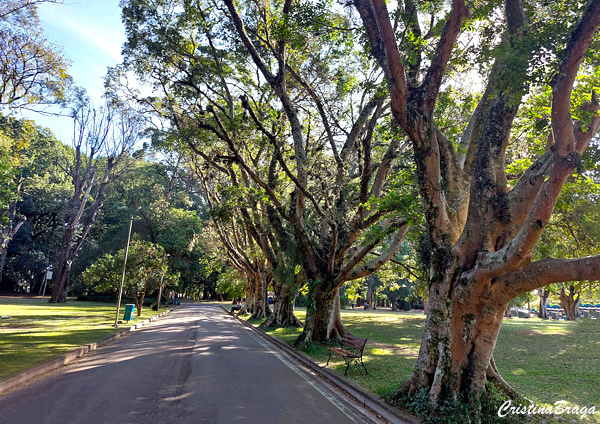 Parque Ibirapuera