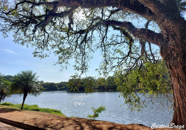 Parque Ibirapuera