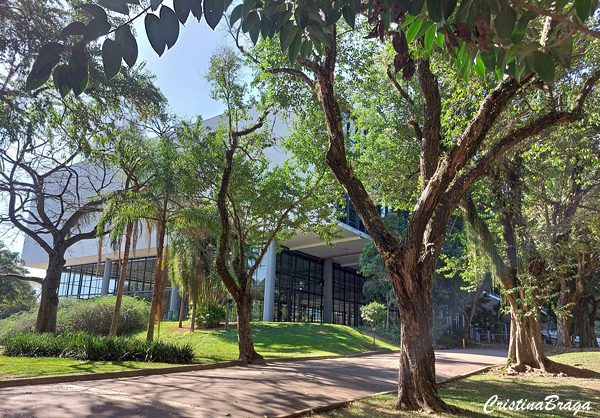 Parque Ibirapuera