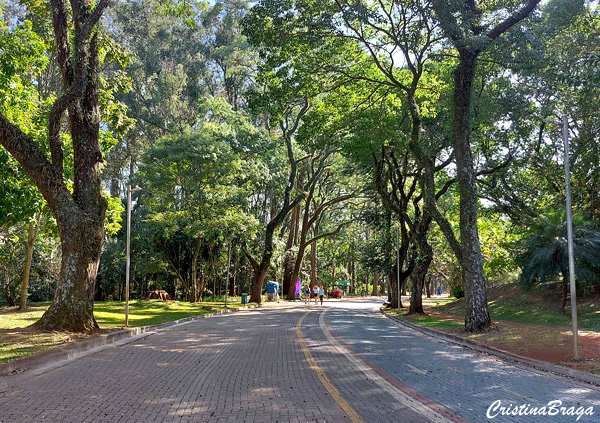 Parque Ibirapuera