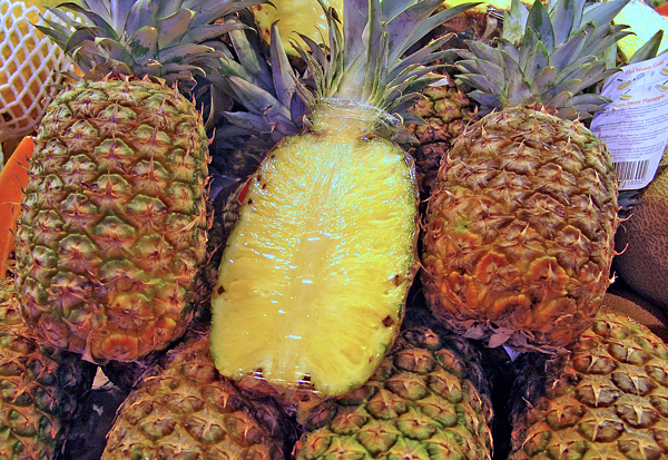 Abacaxi - Ananas comosus