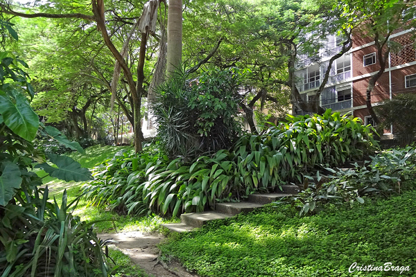 Parque Guinle