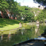 Parque Guinle