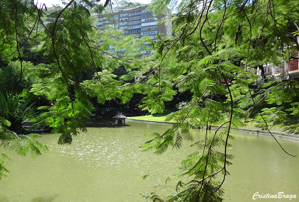 Parque Guinle