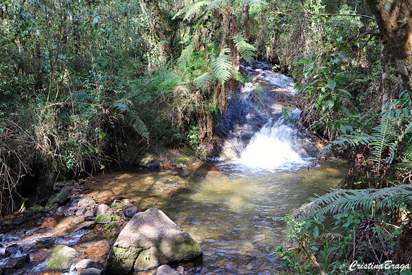 Parque Estadual de Campos do Jordão