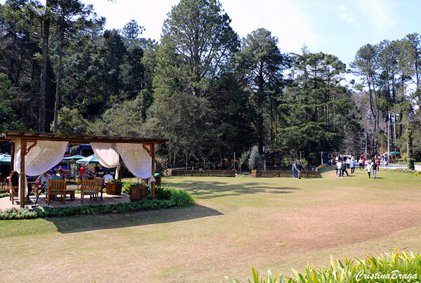 Parque Estadual de Campos do Jordão