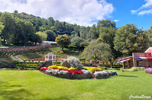 Le Jardin