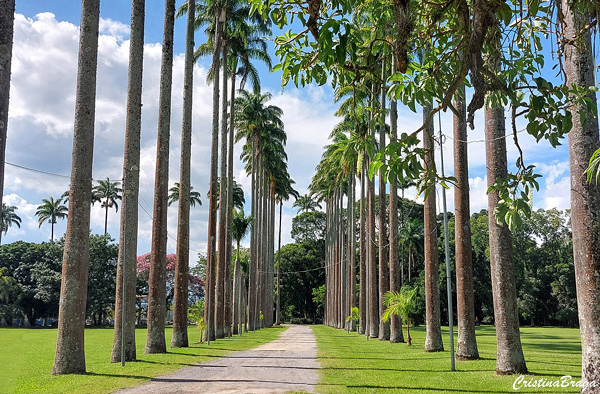 Parque da Cidade - Roberto Burle Marx