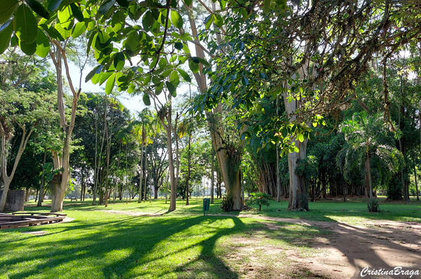 Parque da Cidade – Roberto Burle Marx – SJC